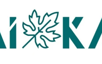 Kollektörün Görünümü